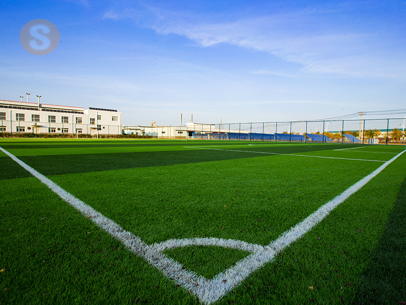 緑溢れるサッカー場