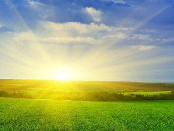 2020H1，锦州阳光戮力同心、运营达满产