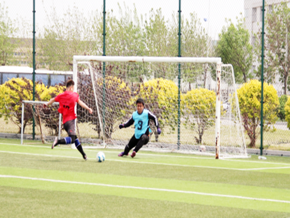人文阳光 | 燃情绿茵场！阳光能源“阳光杯足球赛”正式开赛