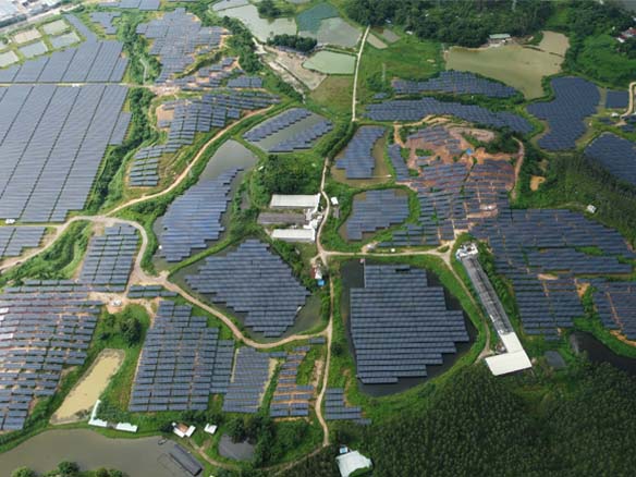 全球足迹 | 抗台风技能拉满！阳光能源助力广东省开平市150MW光伏项目实现三重收益