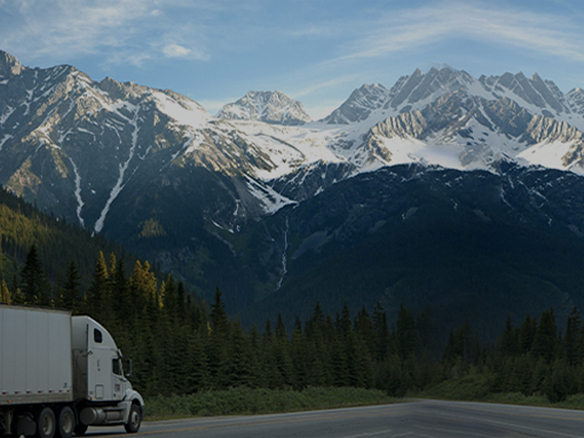 打造绿色典范工程！阳光能源助力中广核新能源吉林白城项目顺利开工